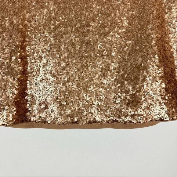 ABERCROMBIE & FITCH Rose Gold Sequin Mini Skirt Lined Size S - Picture 2 of 6